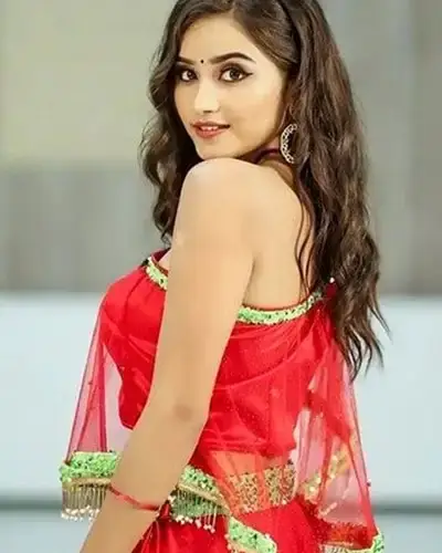 Call Girls Service Phulera